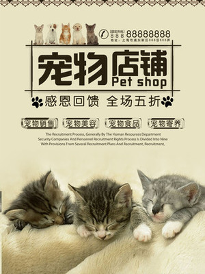 TPAPP官网钱包安卓版